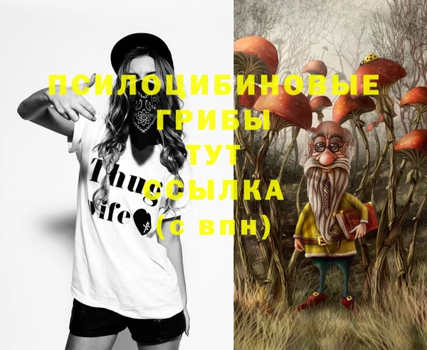 эйфоретик Абинск